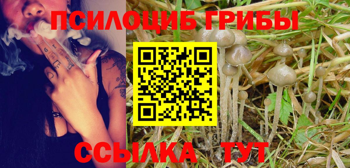 Галлюциногенные грибы мицелий  Псилоцибиновые грибы мицелий  Югорск  Вход с VPN 