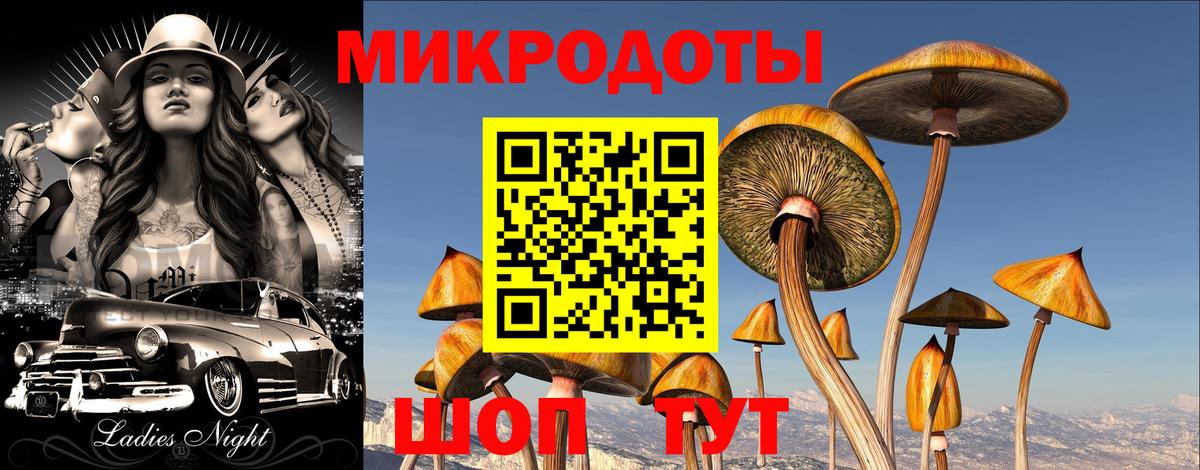 Псилоцибиновые грибы MAGIC MUSHROOMS Югорск